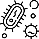 Papildo gerųjų bakterijų atsargas organizme